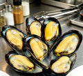 Freshly Steamed Mussels: A Gourmet Seafood Delight